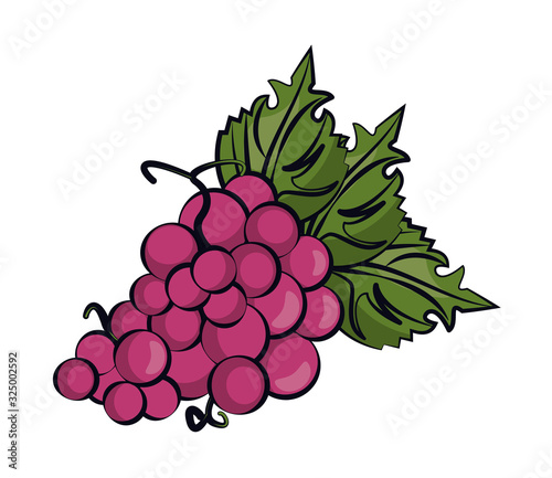 grapes fresh fruits isolated icon