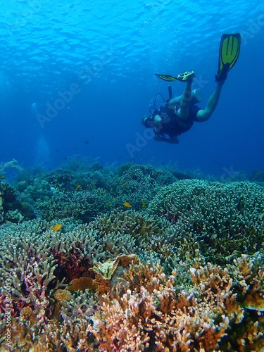 Diver enjoying healthy coral sea in Siquijor