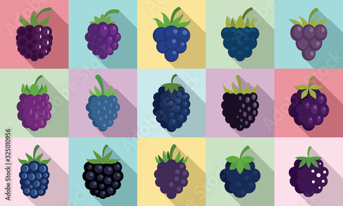 Blackberry icons set. Flat set of blackberry vector icons for web design