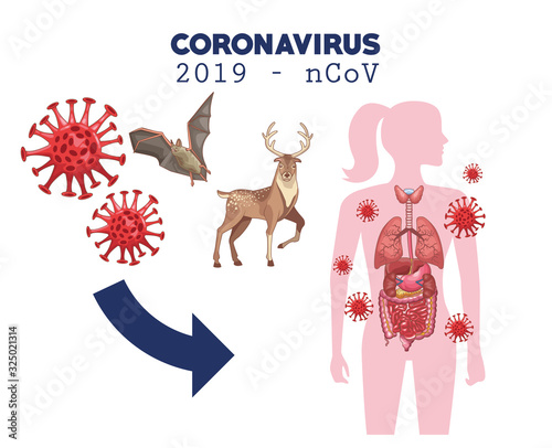 coronavirus infographic with woman figure and animals