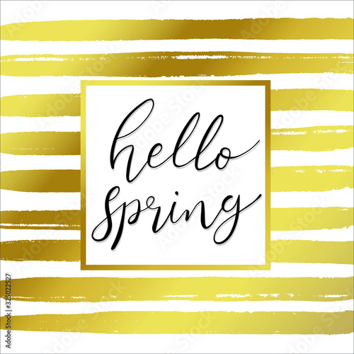 Hello Spring hand drawn sketched Lettering spring season in square gold frame with hand drawn brushed golden stripe pattern background for greeting card, invitation template vector 