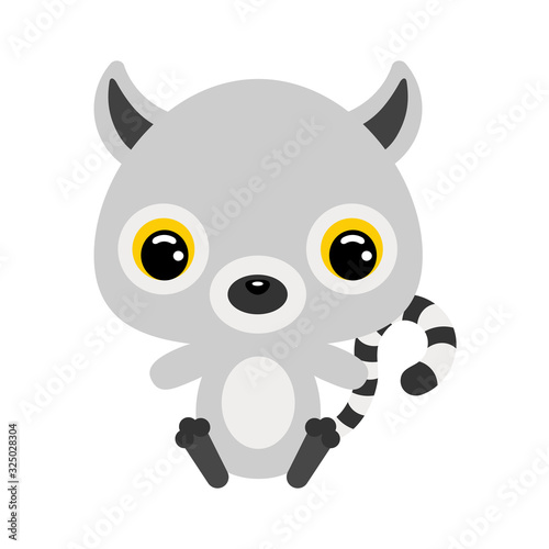 Fototapeta Naklejka Na Ścianę i Meble -  Cute little sitting lemur. Flat vector stock illustration