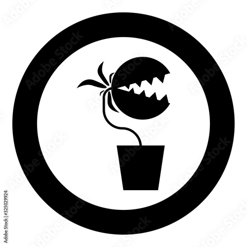 Photo Carnivorous plant Flytrap Monster with teeths in pot icon in circle round black