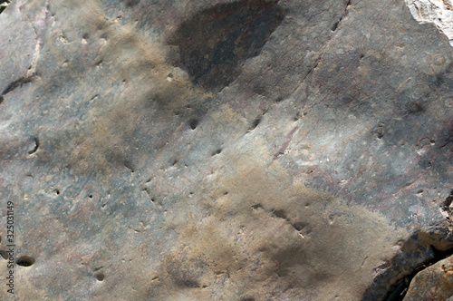 Fossils in rocks, Brachina Gorge, Ikara-Flinders' Ranges National Park, SA, Australia photo