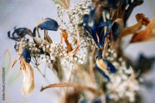 Abstract bouquet of herbarium. Shot with blur and bokeh.