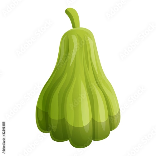 Raw chayote icon. Cartoon of raw chayote vector icon for web design isolated on white background photo