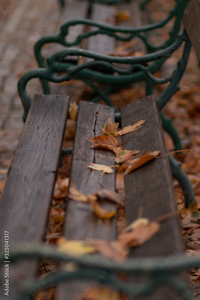brown foliage on a bench brown foliage on a bench