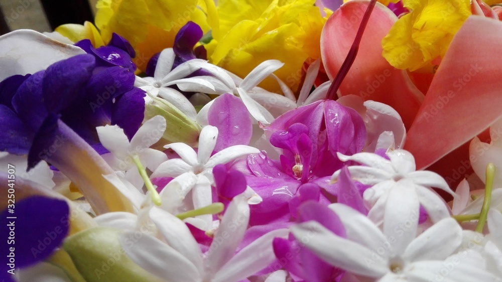 bouquet of flowers