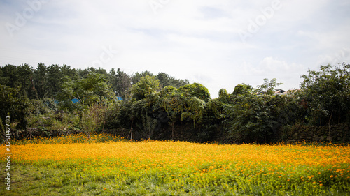 Jeju