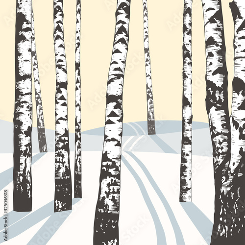 .Winter landscape with birches and ski track. Hand-drawn vector background. Illustration of nature.