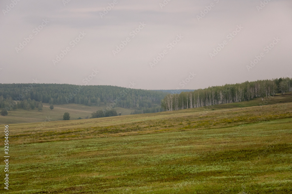 Obraz premium Calm blue sky in the early autumn sky over green fields, trees, forests and huge mountains. A lot of meadow herbs around. Day. Travel through nature landscape
