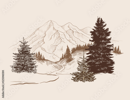 .Landscape with a road, spruces, coniferous forest and mountain range. The road leading to the mountains. Vector vintage illustration. Retro card. Sketch..