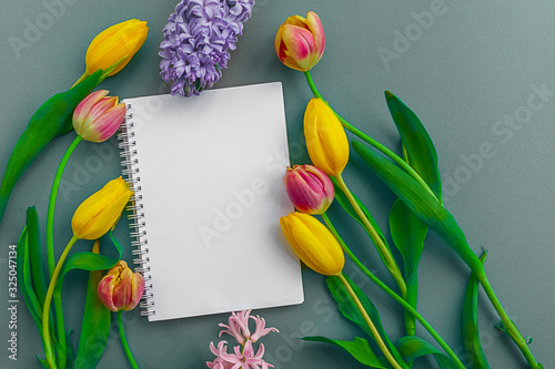 Fototapeta Naklejka Na Ścianę i Meble -  Notepad, yellow and pink tulips on a green background. Bouquet shot from above. Spring holiday. Women's Day March 8th. Place for text