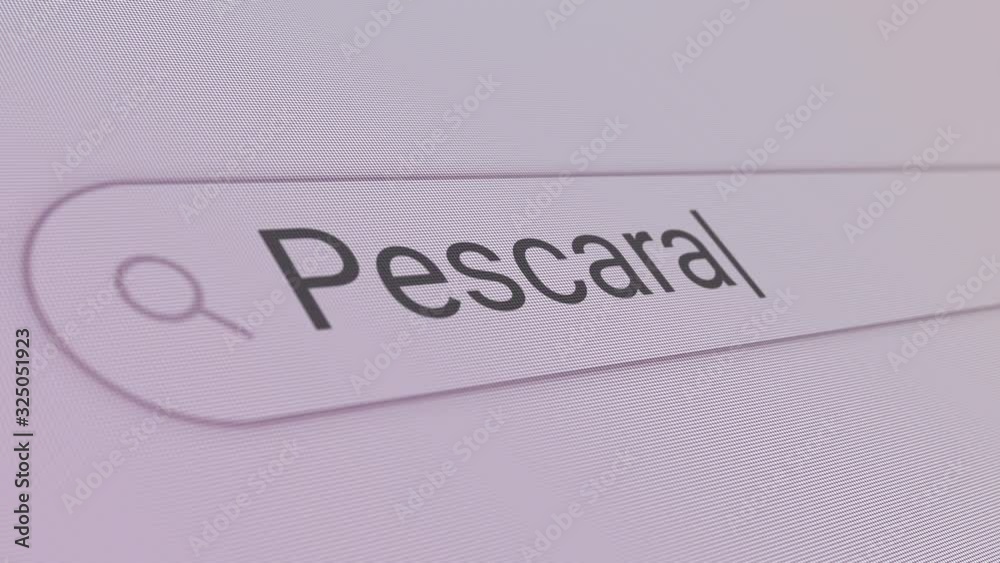 Pescara Search Bar Close Up Single Line Typing Text Box Layout Web Database Browser Engine Concept Pescara Search Bar Close Up Single Line Typing Text Box Layout Web Database Browser Engine Concept