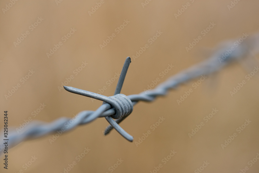 Piece of barb wire fence close up