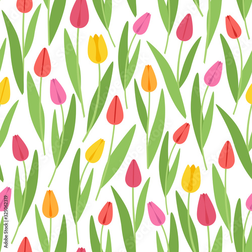 Colored tulips on a white background vector seamless pattern.