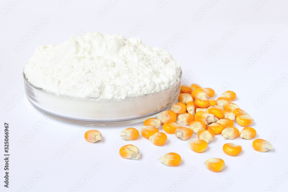 Petri dish with corn starch and yellow kernels on a white background