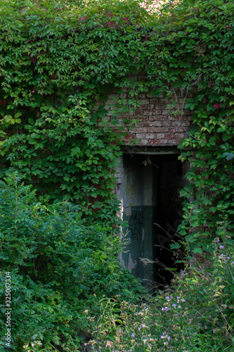 Dark abandoned entrance of old brick building grown in green plants