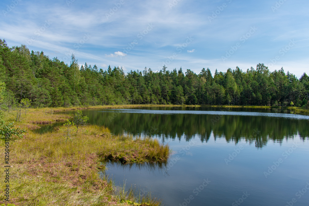 Landscape of beautiful bog lake with green forest and blue sky background.