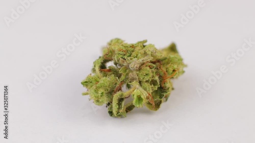 Macro shot of sativa or indica weed bud with fresh trichoma crystals on turning subject wooden table. White background