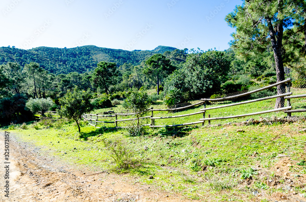 wooden fence in farm field for animals and forest road in the beautiful and wild nature around the village of Benahavis Andalusia Spain, trees, meadows and plenty of olive trees along hiking trails wooden fence in farm field for animals and forest road in the beautiful and wild nature around the village of Benahavis Andalusia Spain, trees, meadows and plenty of olive trees along hiking trails