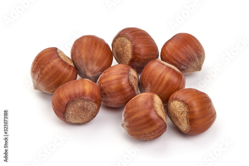 Raw Natural Organic hazelnuts, isolated on white background