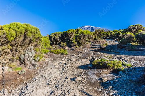 View from the Lemosho trail, the most scenic trail on mount Kilimanjaro, Tanzania photo