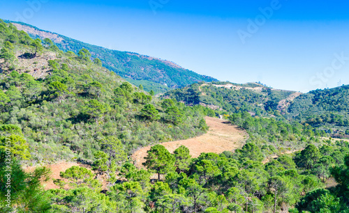view of mountains and meadows around Benahavis Andalucia Spain, beautiful nature, trees, rivers and meadows with blue sky and beautiful weather all year round