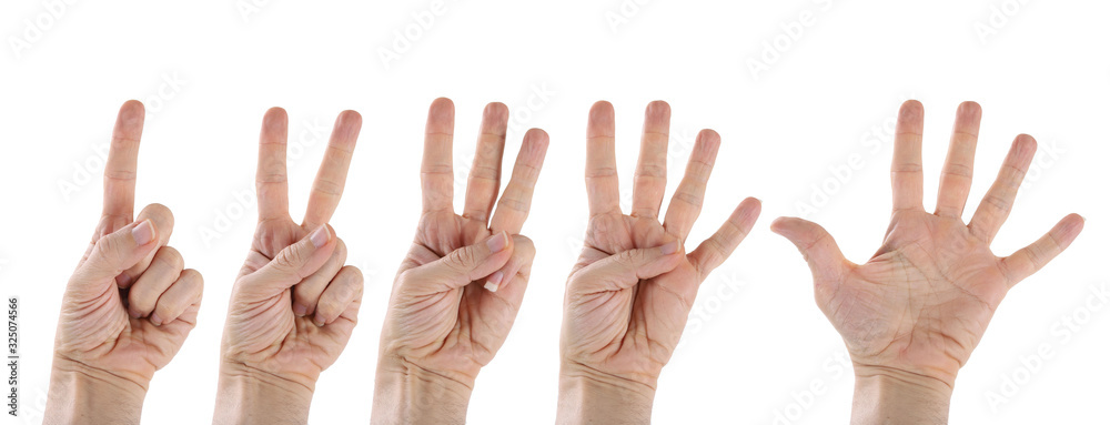 Fototapeta premium Counting Numbers by Hand, Learning Numbers