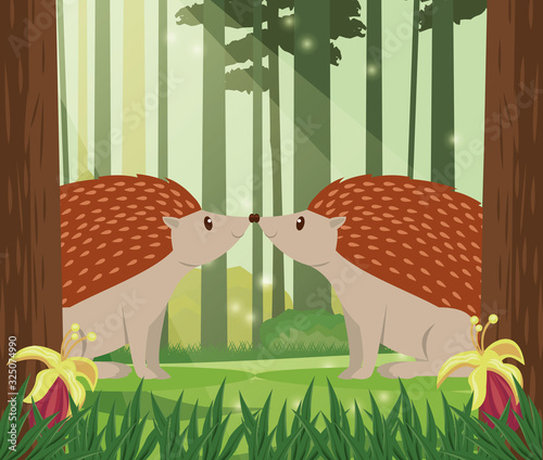 cute little armadillo animal character