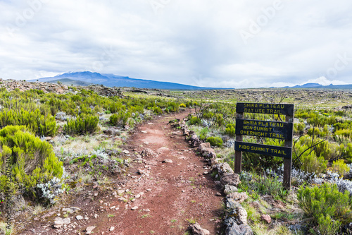View from the Lemosho trail, the most scenic trail on mount Kilimanjaro, Tanzania