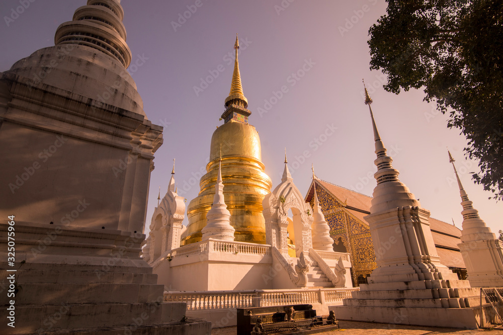 Fototapeta premium THAILAND CHIANG MAI WAT SUAN DOK