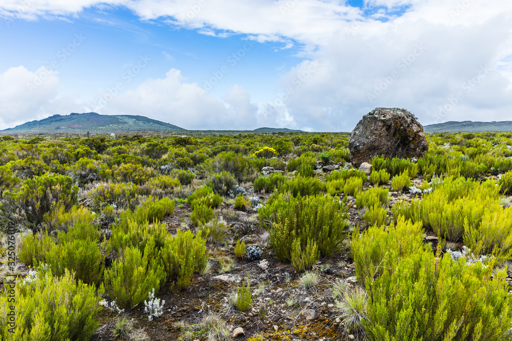 View from the Lemosho trail, the most scenic trail on mount Kilimanjaro, Tanzania