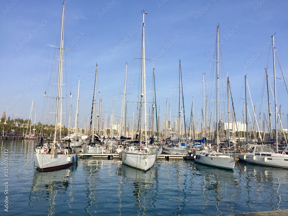 yachts in the harbor