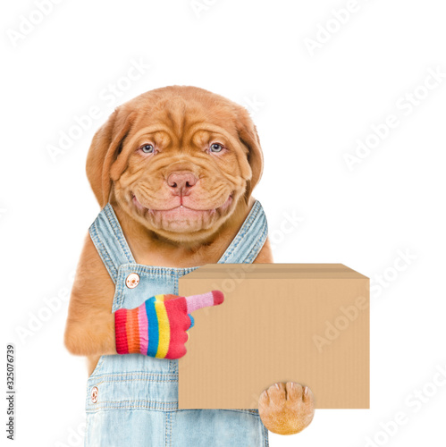 Smiling puppy wearing overalls points on big box. Delivery concept. Isolated on white background © Ermolaev Alexandr
