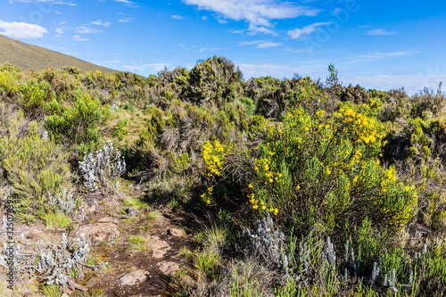 View from the Lemosho trail, the most scenic trail on mount Kilimanjaro, Tanzania