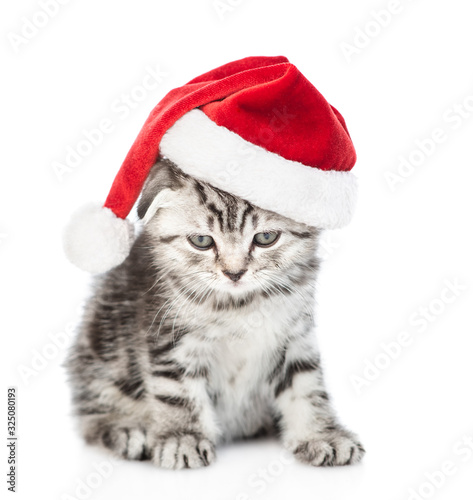Tabby kitten with red christmas hat looking at camera. isolated on white background © Ermolaev Alexandr