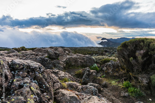 View from the Lemosho trail, the most scenic trail on mount Kilimanjaro, Tanzania