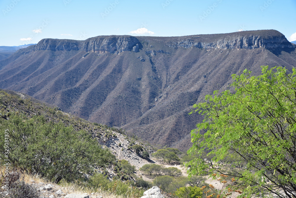 Montagnes de la Sierra Madre, Mexique
