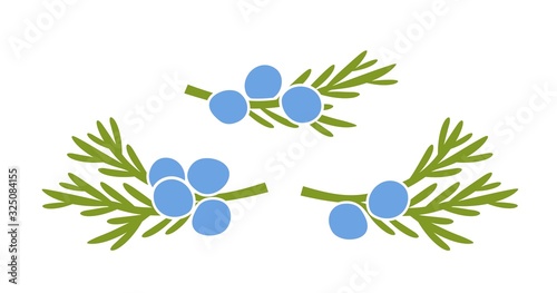 Juniper berries logo. Isolated Juniper berries on white background