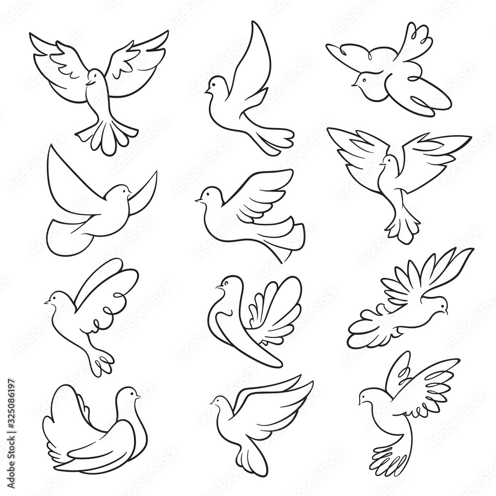 Pigeon sketch peace set, black dove bird Pigeon sketch peace set, black dove bird