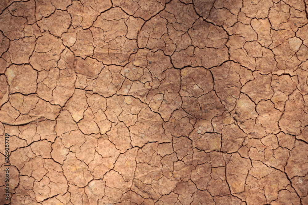 craked earth closeup for natural abstract background craked earth closeup for natural abstract background