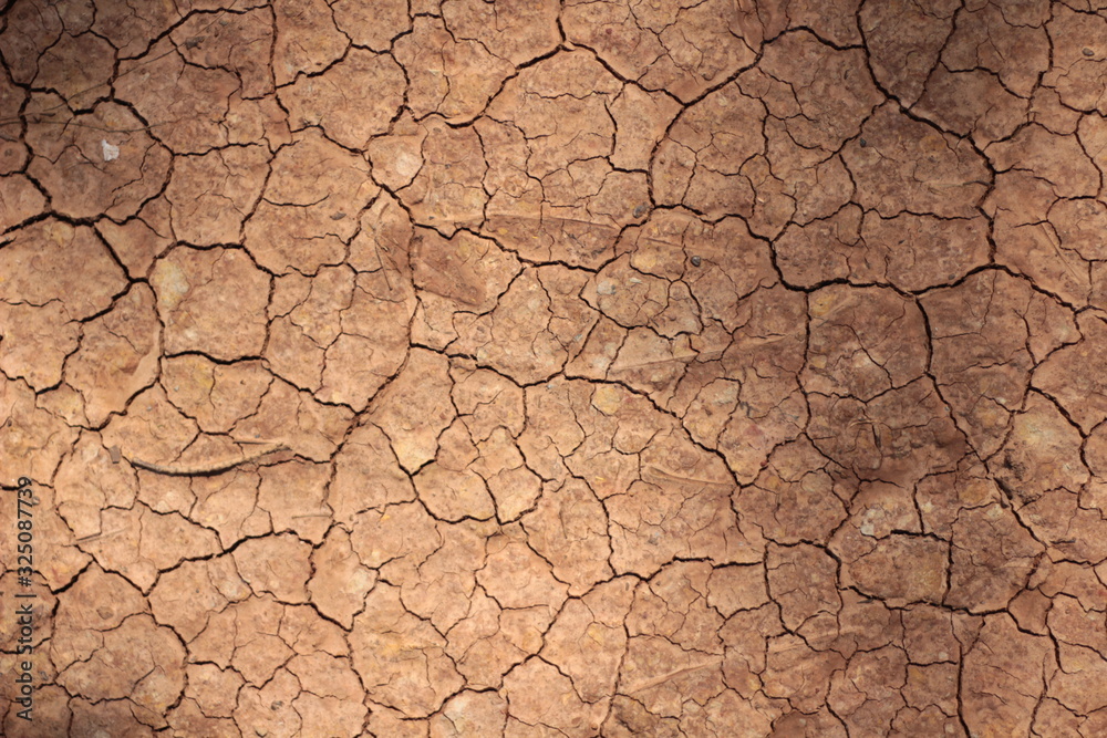 craked earth closeup for natural abstract background craked earth closeup for natural abstract background