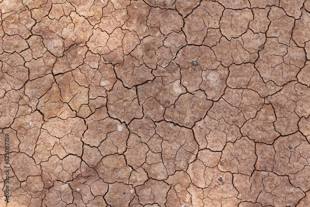 craked earth closeup for natural abstract background craked earth closeup for natural abstract background
