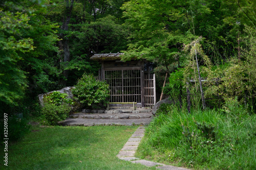 Ruins covered with greenery