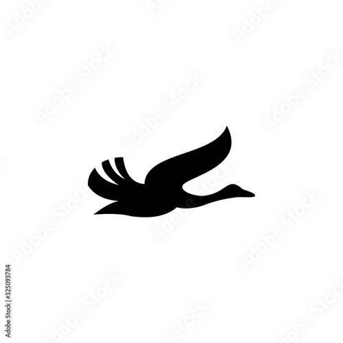 bird flying seagull logo design vector