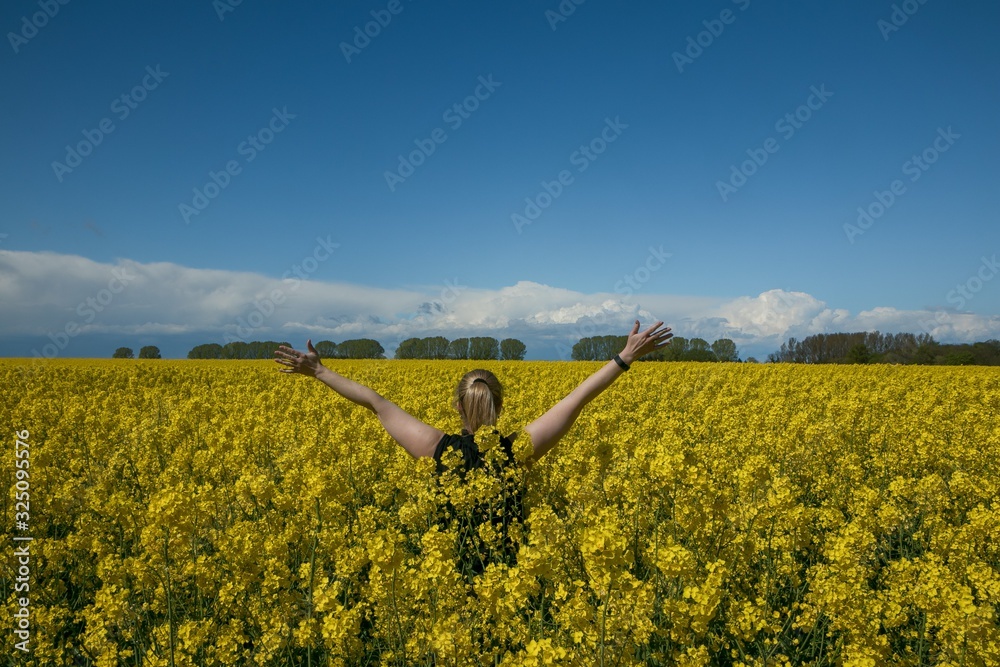 happy woman standing in a yellow canola field with raised arms happy woman standing in a yellow canola field with raised arms