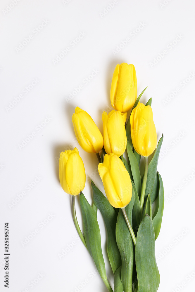 Spring yellow tulip flowers on white background. Floral composition, flat lay, top view, copy space Spring yellow tulip flowers on white background. Floral composition, flat lay, top view, copy space