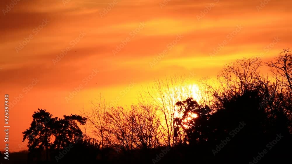 Sunset Majestic. Dramatic sky with colorful clouds. Flight of a group of migrating birds. Wild life over the forest. Sunset Majestic. Dramatic sky with colorful clouds. Flight of a group of migrating birds. Wild life over the forest.