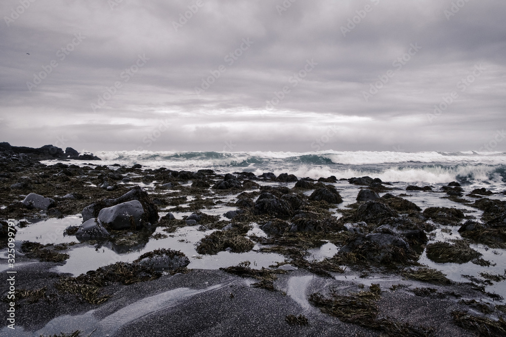 cold waves of the atlantic ocean ashore in winter windy weather before rain in Iceland